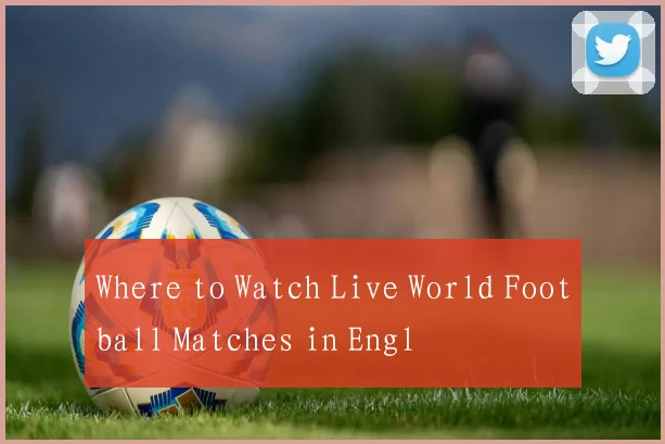 Where to Watch Live World Football Matches in Engl